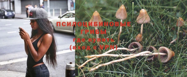 эйфоретик Баксан