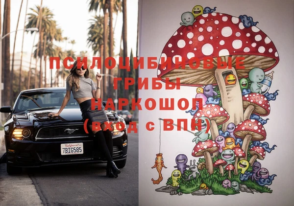 PSILOCYBIN Балабаново