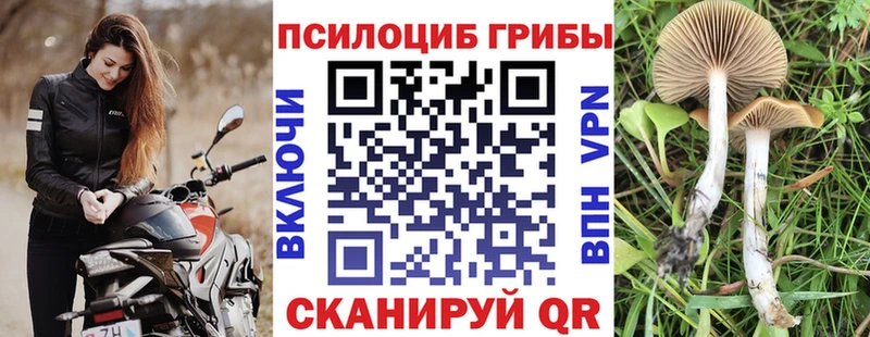 Галлюциногенные грибы MAGIC MUSHROOMS  как найти наркотики  Белоозёрский 